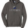 ARTEMIS - Port & Co™ Fan Favorite™ Fleece Pullover Hooded Sweatshirt (FRONT LONG ONLY)