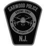GPD - Next Level Cotton T-Shirt (DRONE UNIT)