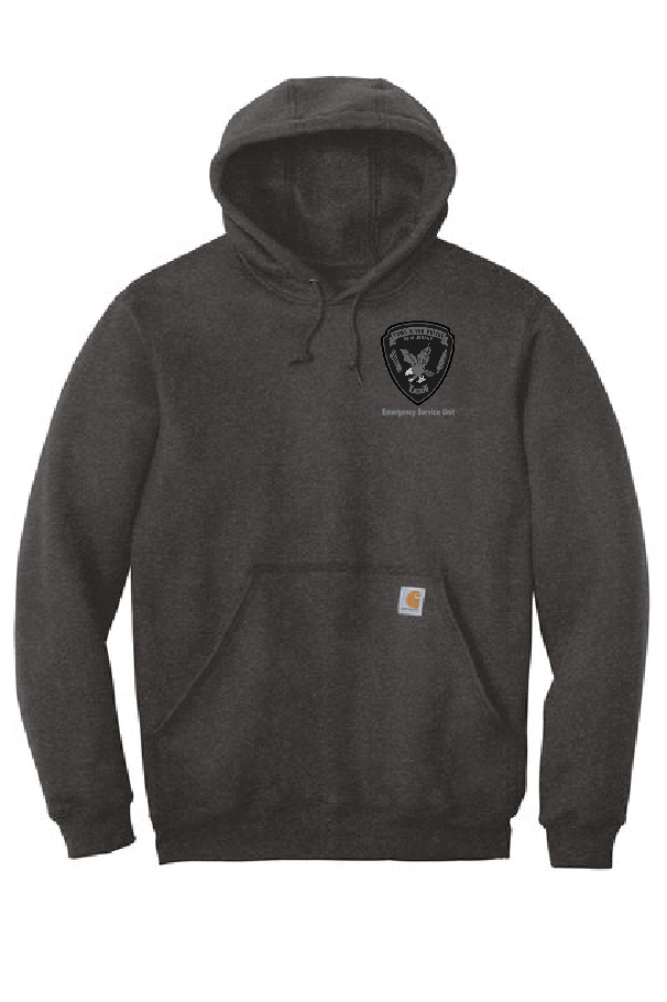 TRP - Carhartt ® Rain Defender ® Paxton Heavyweight Hooded Sweatshirt (ESU)
